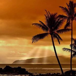 Meet your Posher, Jordyn